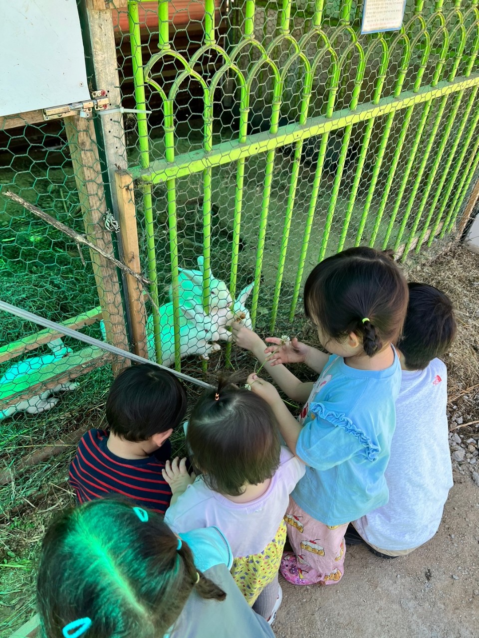 KakaoTalk_20230605_231038122_08.jpg
