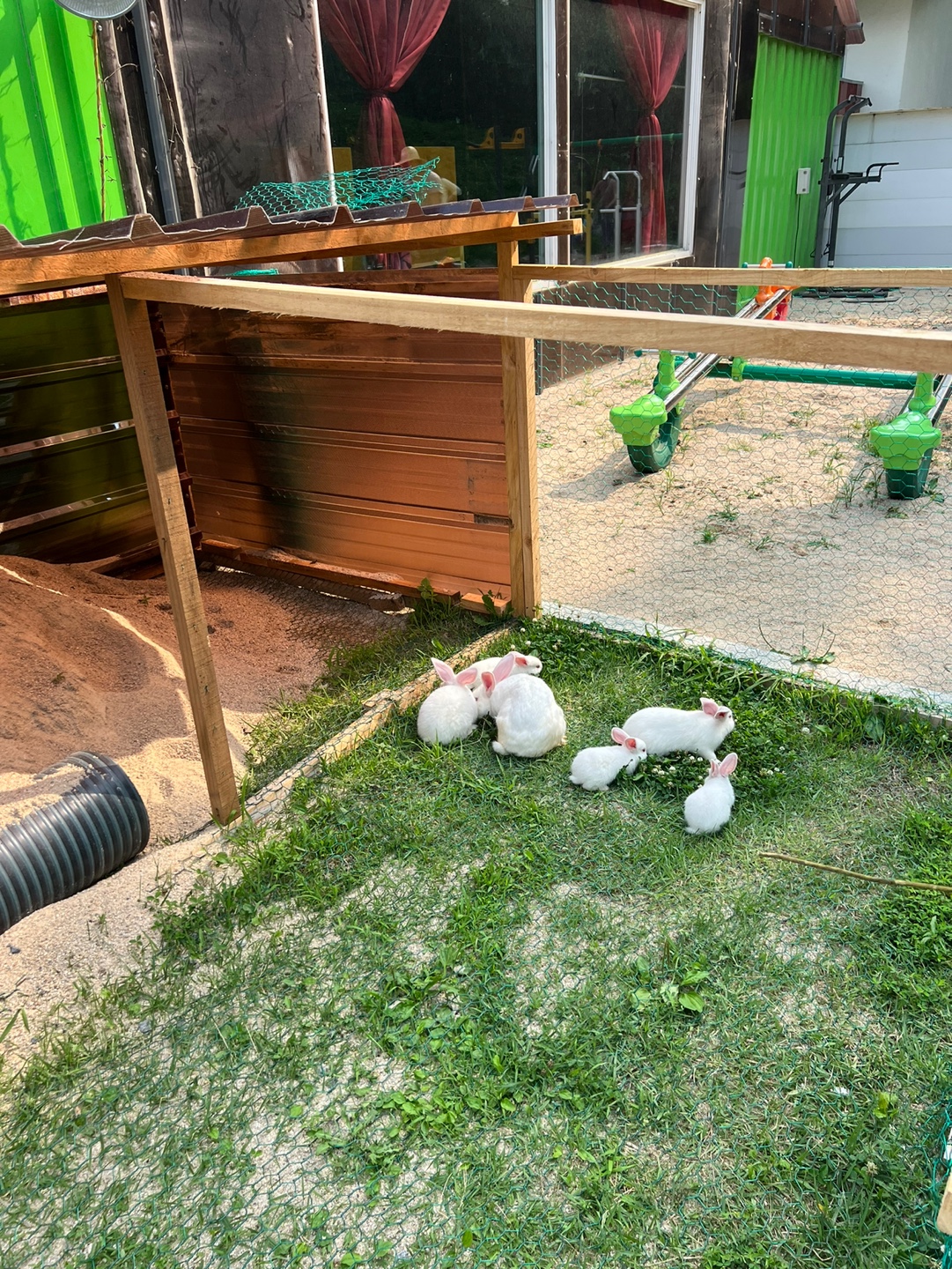 KakaoTalk_20230702_232744125_04 (1).jpg