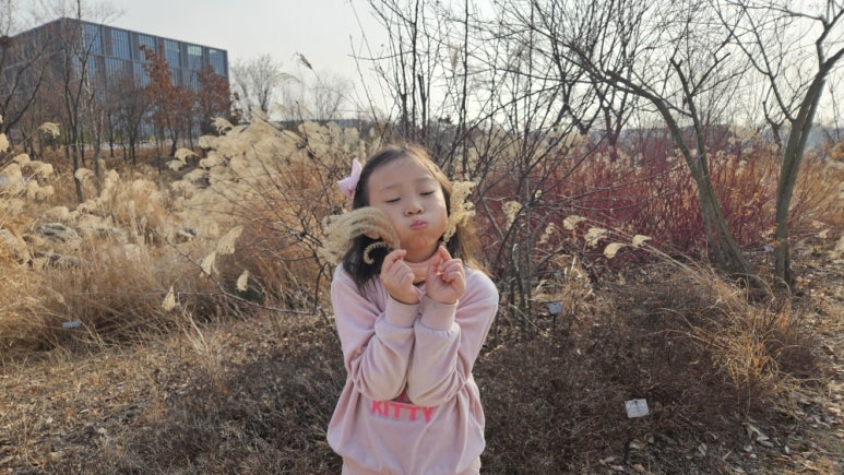 https_kids-i.kakaocdn.net_dn_Ahhc3_btsLXs40bgn_JHsxgFR4IzDYKjXQtdfE11_img.jpeg